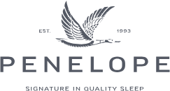 logo-home